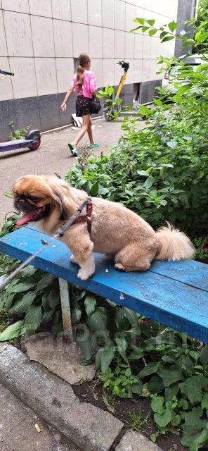 �������. ����