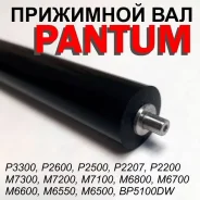 ����. ����