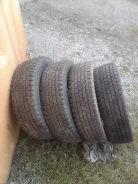 Bridgestone Blizzak Revo 969. ������, 2012 ���, �/�, ����� 5 % ����