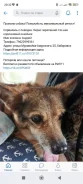 ������. ����