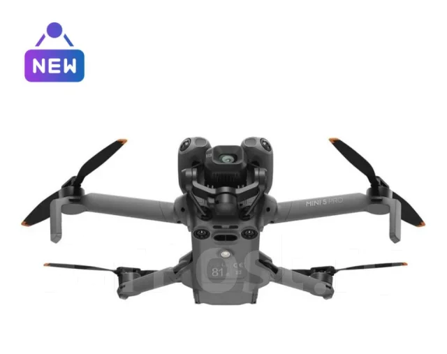 DJI Mini 2. � �������. ��� ����� �� ������������ ����