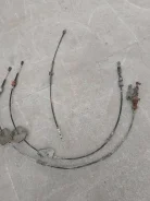 ���� ������������ ���� ����