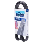 ������ �/� 6PK1019E Finwhale BP6PK1019E BP6PK1019E ����