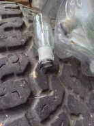 ����� �����������. ����