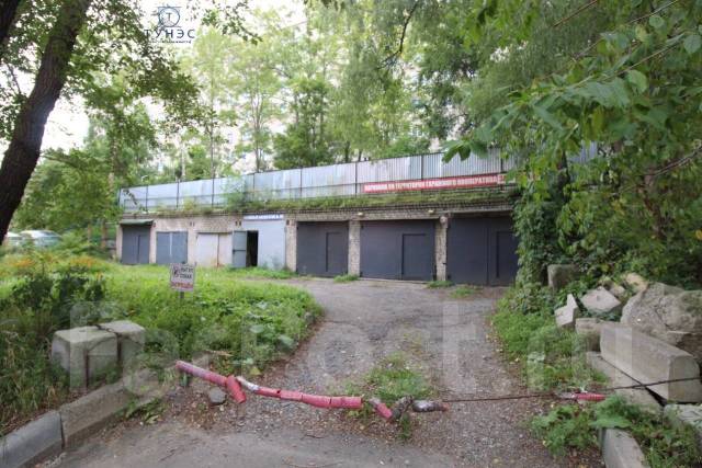 Бөкселердегі леггинстер порно видео