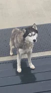 �����. ����