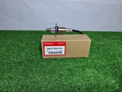 ������ ���� Honda 36531RZA013 36531RZA013 ����
