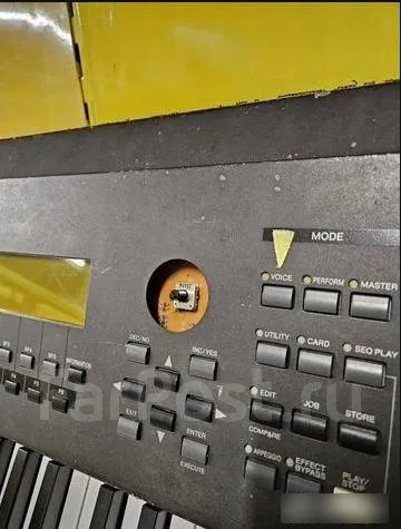 �����������. ����