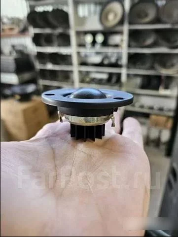 ��������. ����
