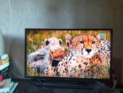 Sony. ������ ����