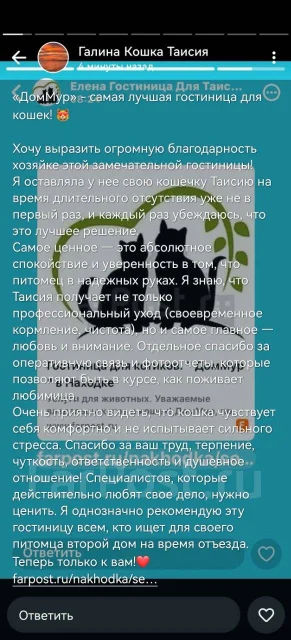 ���������� ��������. ����