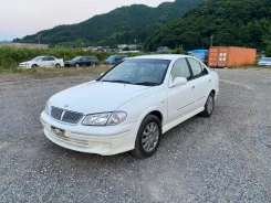 Nissan Bluebird Sylphy. QG10, QG18DE ����