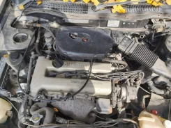 Nissan Primera. P10, SR18DI ����