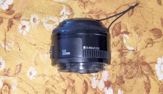Canon EOS 650D. 15 - 19.9 ��, ���: ��� ���� ����
