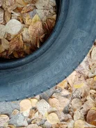 Michelin. ������, 2011 ���, �/�, ����� 35 % ����