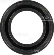 ������� ������������������ ���� Victor Reinz 813678900 813678900 ����