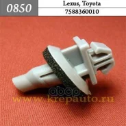 �������� ���������� �������� ���. 0850 0850 0850 ����