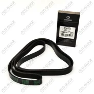 ������ ��������� /TI-GUAR ��� Audi A4 A6 /8E2 8E5 8H7 4B#; 6PK1855; 6PK1856 6PK1857 Ti-Guar 6PK1855 ����