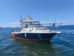 Pro-line. 2006 ���, ����� 10��., ��������� ���������, 600��.�., ������ ����