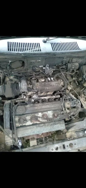 Suzuki Cultus ����
