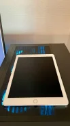 Apple iPad Pro 9.7. 9.7 ������, ������ 256 �� ����