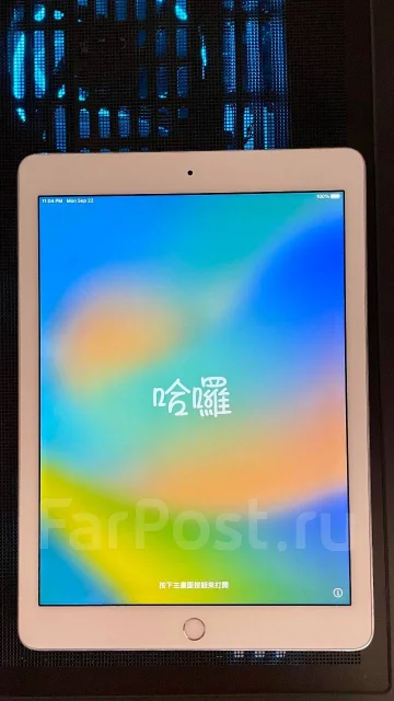 Apple iPad Pro 9.7. 9.7 ������, ������ 256 �� ����