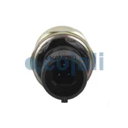 ������ �������� �����! RVI Premium/Magnum/Midlum/Kerax 2260261 ����