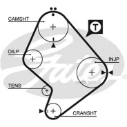 ������ ��� Gates 5214XS 129x31 5214XS ����