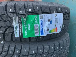 AutoGreen. ������, ����������, 2025 ���, ����� ����