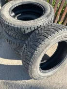 Triangle PS01. ������, ����������, 2019 ���, �/�, ����� 30 %. �������� ������� ����