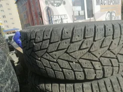 Dunlop. ������, ��� ����, 2019 ���, �/�, ����� 15 % ����