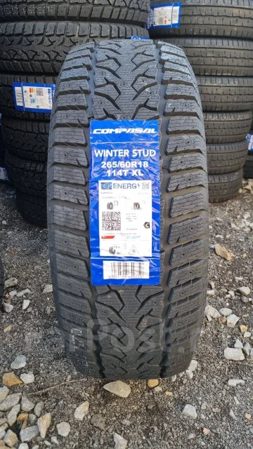 Compasal Winter Stud. ������, ��� �����, 2025 ���, ����� ����
