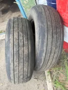 Annaite 366. �����������, �/�, ����� 50 % ����