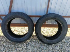 Triangle WinterX TW401. ������, ��� �����, 2021 ���, �/�, ����� 50 % ����