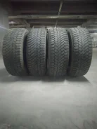 Continental Contact. ������, ����������, 2014 ���, �/�, ����� 40 % ����