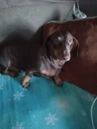 �����. ����