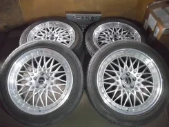 Niche Fortis