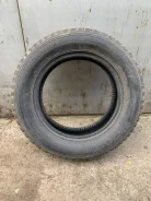 Falken Espia MV03. ������, ��� �����, �/�, ����� 15 % ����