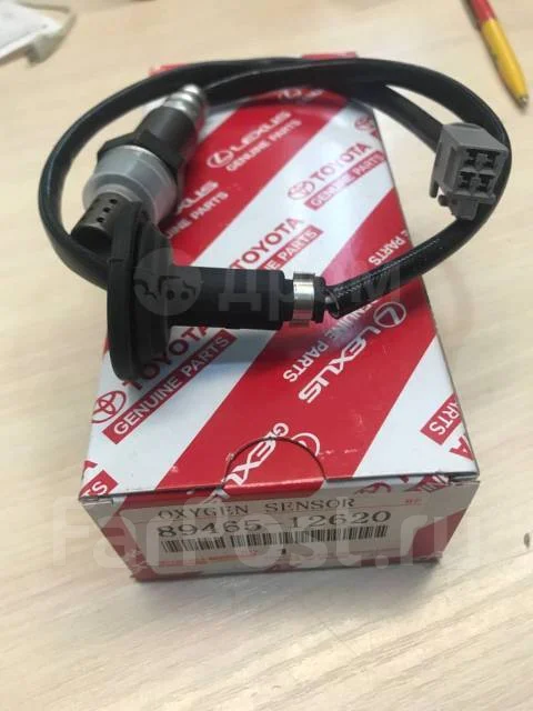 ������ ����������� 8946512620 ����