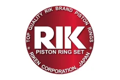 ������ ��������� 1AZFE / 1AZ-FSE / 1TRFE STD RIK (������) 28013 13011-28120 1.2x1.2x2.0 (�� 4 ����) 28013STD ����