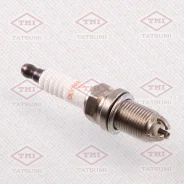 ����� ��������� ������������� DLYR6EQM-10 ��� Volkswagen GOLF, AUDI A6, AUDI A4 tatsumi ths3001 THS3001 ����