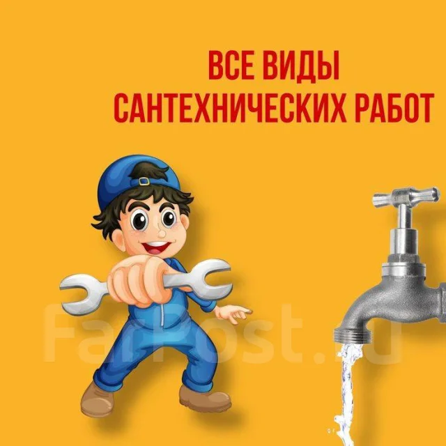����������. ����