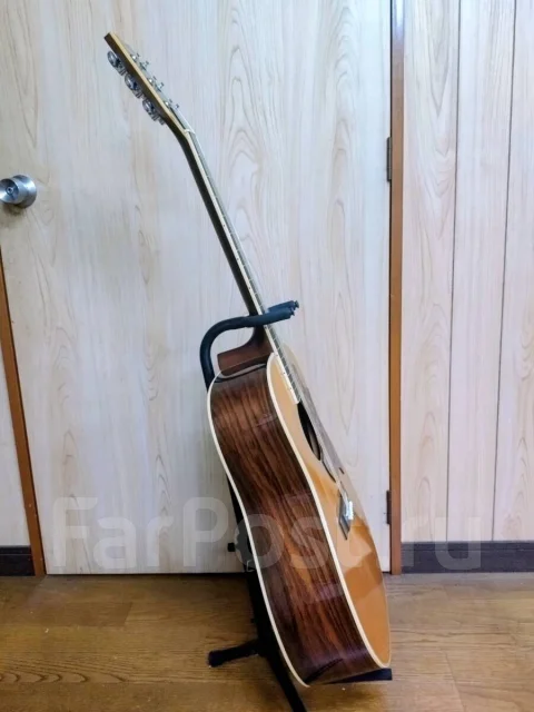 ������ ������������. ����