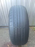 Hilo XP1. ������, 2024 ���, �/�, ����� 80 % ����