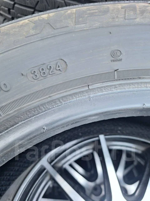 Hilo XP1. ������, 2024 ���, �/�, ����� 80 % ����
