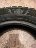 RoyalBlack. ������, ����������, 2023 ���, ����� ����