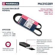 ������ ������������ Marshall M6310289 M6310289 ����
