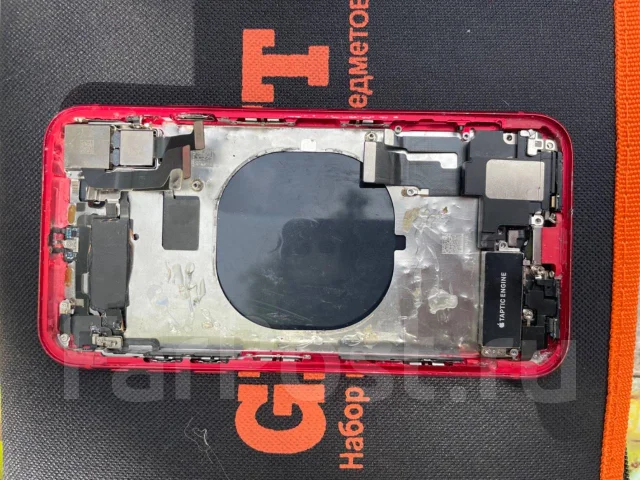 Apple iPhone 11. �/�, ������� ����
