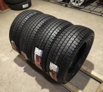 Goodyear Ice Navi Cargo. ������, ��� �����, 2020 ���, ����� ����