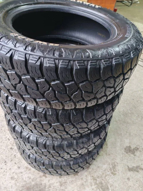 Bearway. ����� mt, 2024 ���, ����� ����